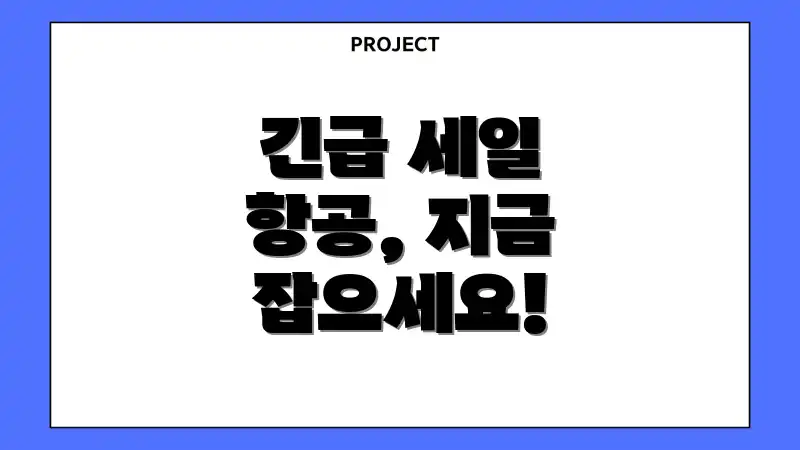 긴급 세일 항공, 지금 잡으세요!