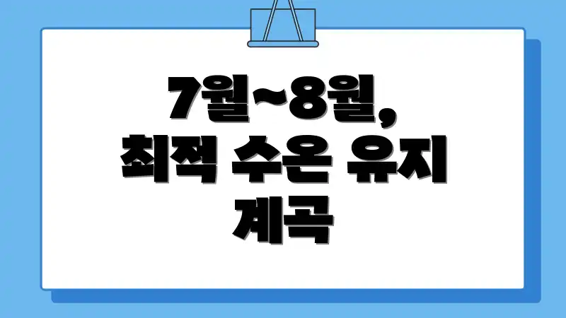 7월~8월, 최적 수온 유지 계곡