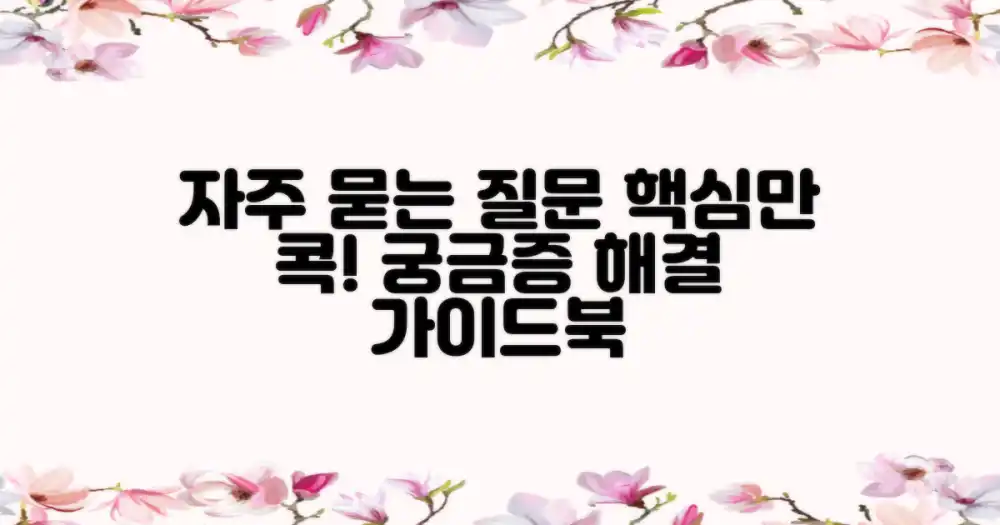 자주 묻는 질문