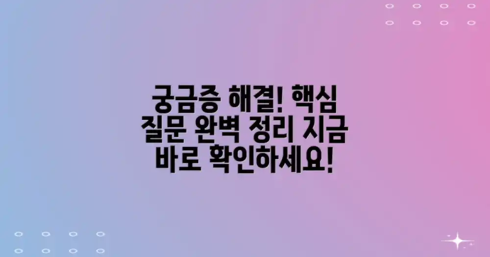 자주 묻는 질문