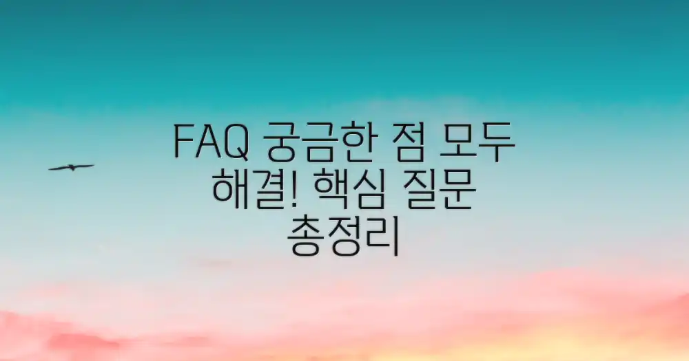 자주 묻는 질문