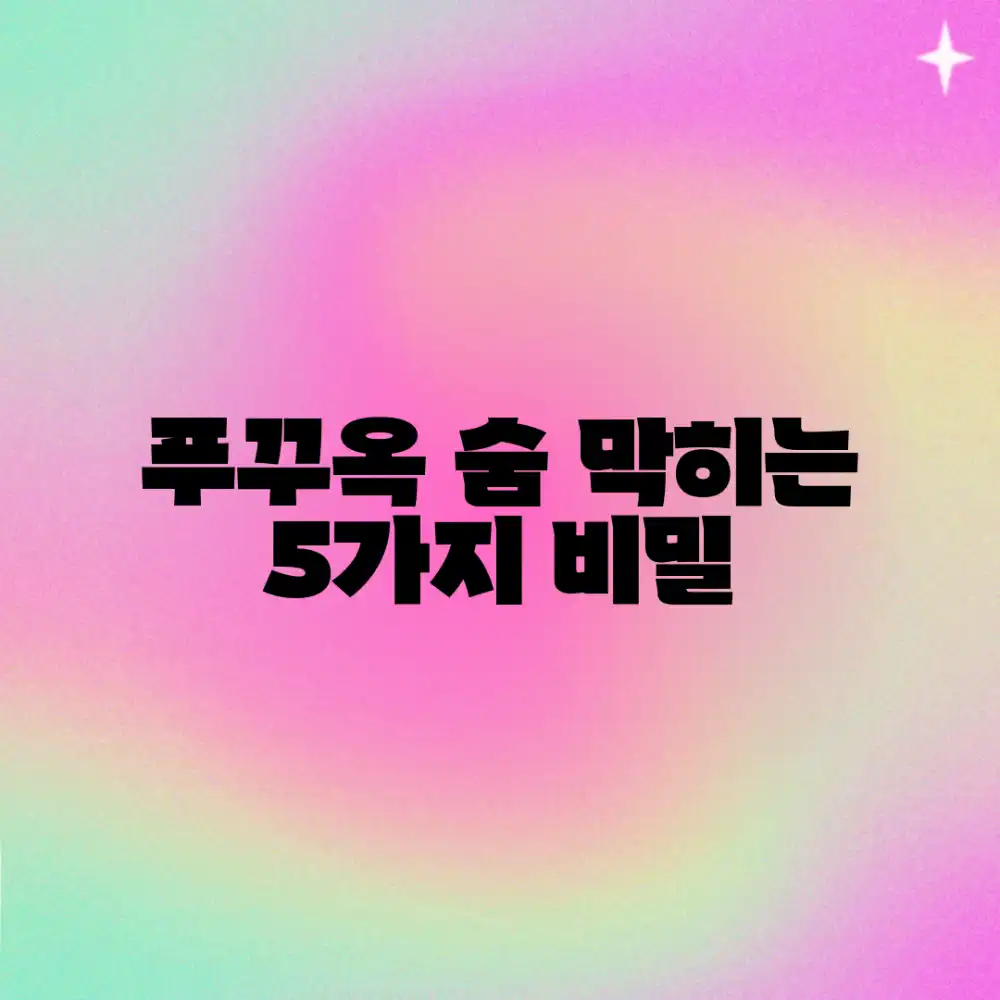 푸꾸옥 섬 투어: 자연과 하나되는 5가지 비밀