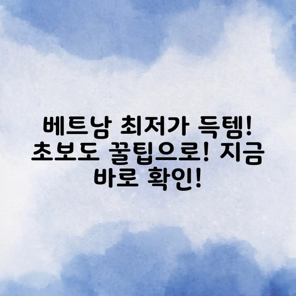 초보도 베트남 최저가 득템! 꿀팁 공개 초보도 베트남 최저가 득템! 꿀팁 공개