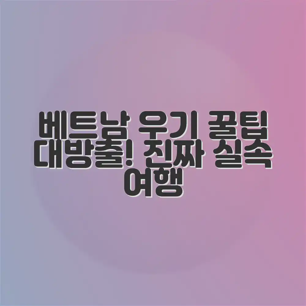 믿을 수 없는 실속! 베트남 우기 여행 계획 비밀