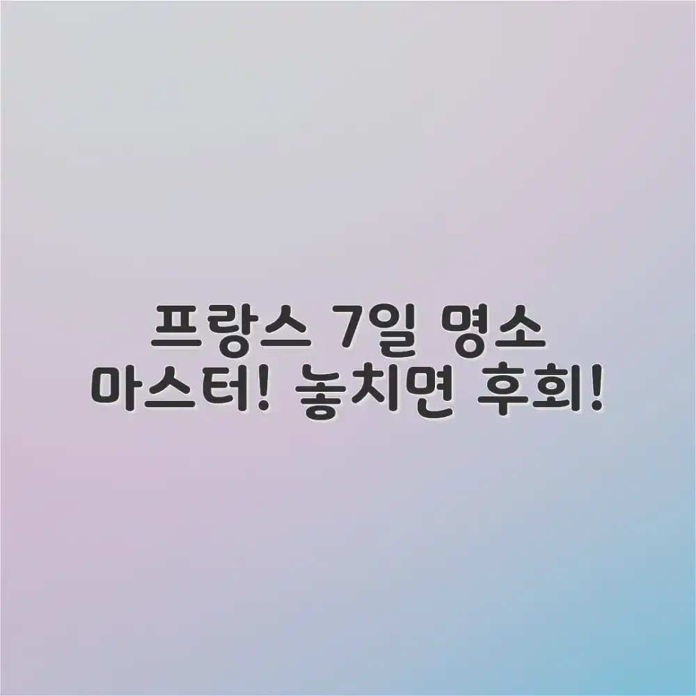 프랑스 7일, 명소 마스터!
