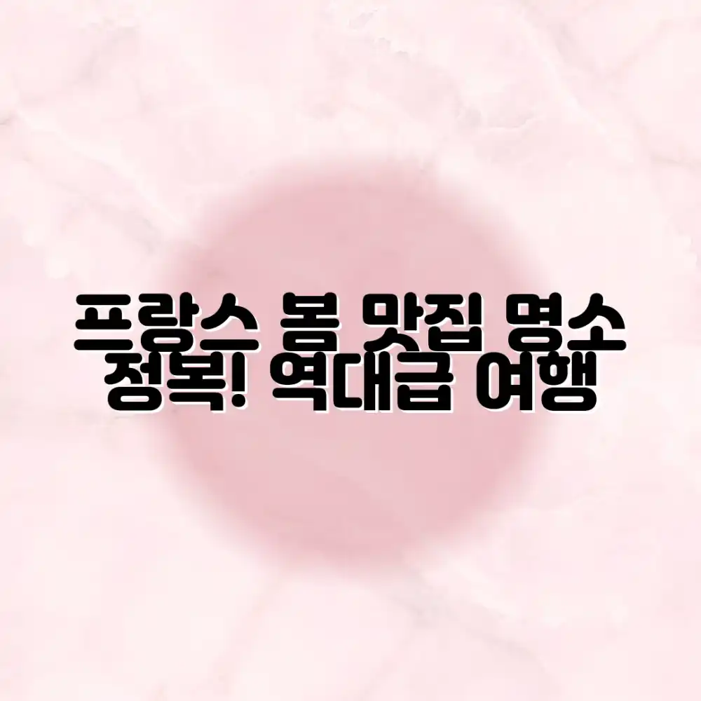 놀라운 프랑스 봄: 맛집 & 명소 완전 정복!