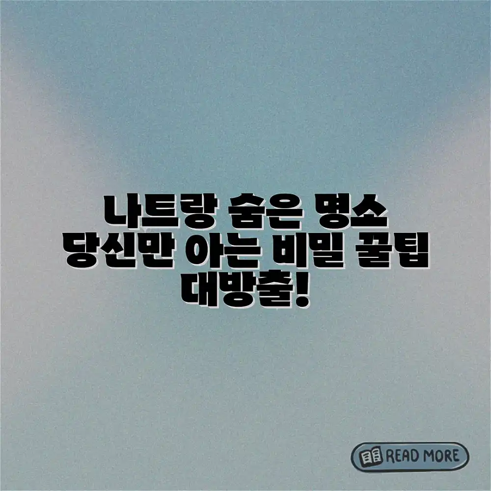 나트랑 숨은 명소 마스터: 당신만 아는 비밀