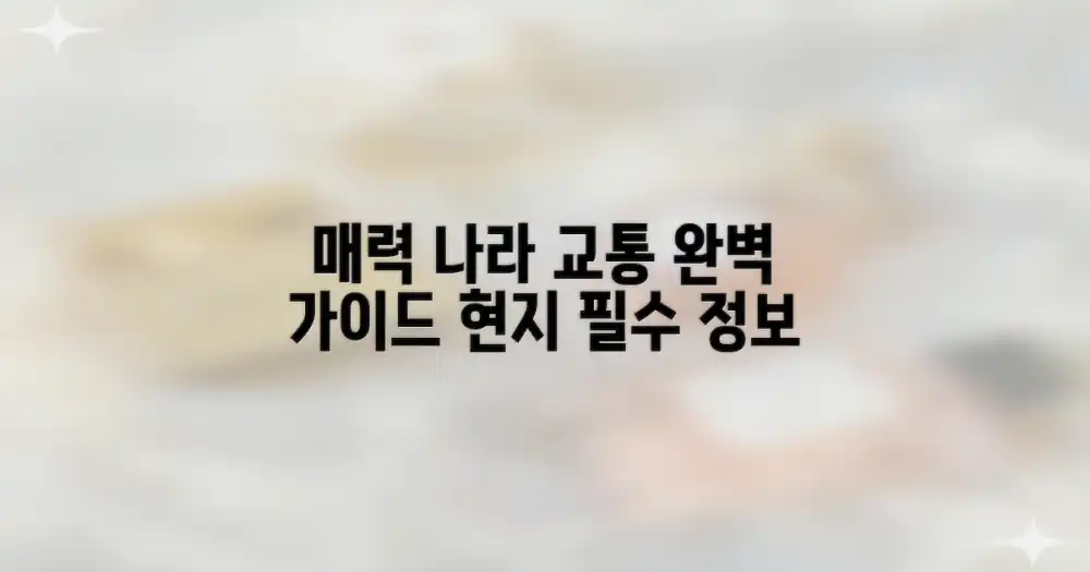 매력적인 나라, 현지 교통 정보 완벽 가이드