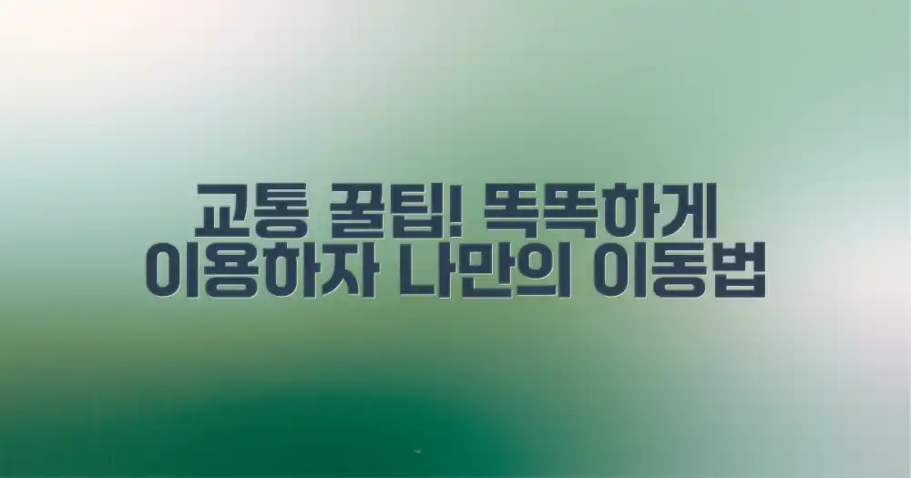현지 교통, 똑똑하게 이용하는 법