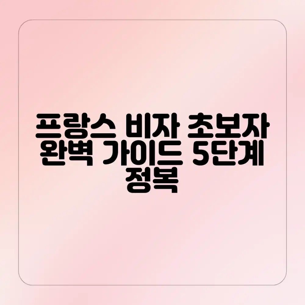 프랑스 비자 신청: 초보자 5단계 완벽 가이드
